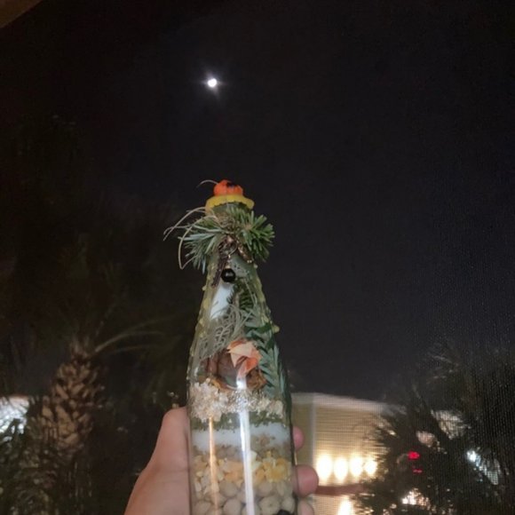 Prosperity, abundance, protection, New Year 2021 - Picture 5 of 16